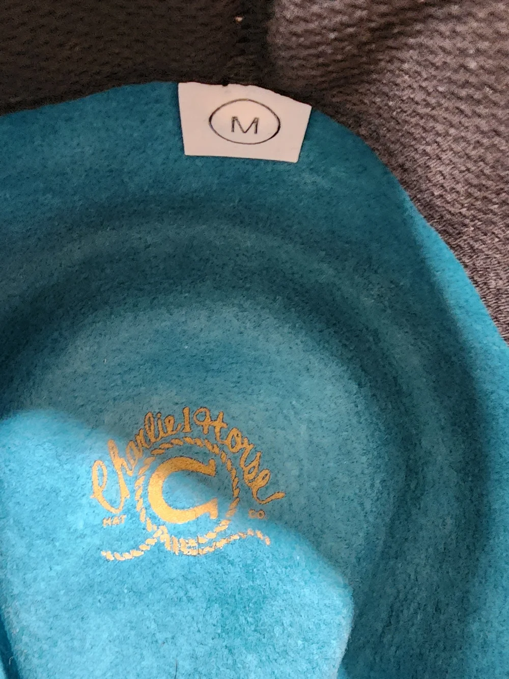 Teal Wool Fedora with Contrast Band